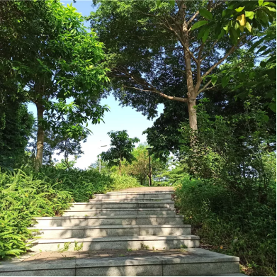 1618975390636176.png 1618975390636176.png