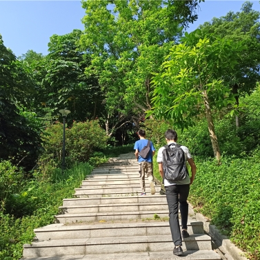 1618975390714561.jpg 1618975390714561.jpg