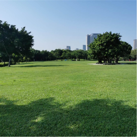 1618975391670887.jpg 1618975391670887.jpg